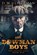 The Bowman Boys, D. W. Ulsterman - Paperback - 9781722914868