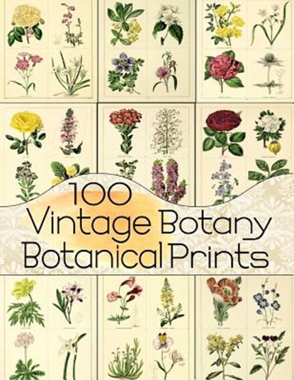 100 Vintage Botany Botanical Prints, C Anders - Paperback - 9781723879944
