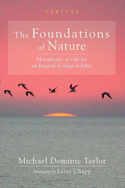 The Foundations of Nature, Michael Dominic Taylor - Paperback - 9781725264977