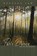 Pan's Dance, Rebecca Law - Paperback - 9781725278578