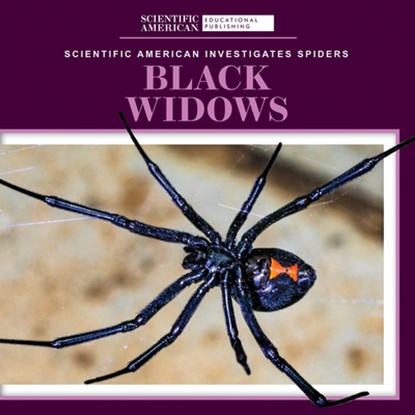Black Widows, ALDOLPHO,  Roxanne - Paperback - 9781725351172