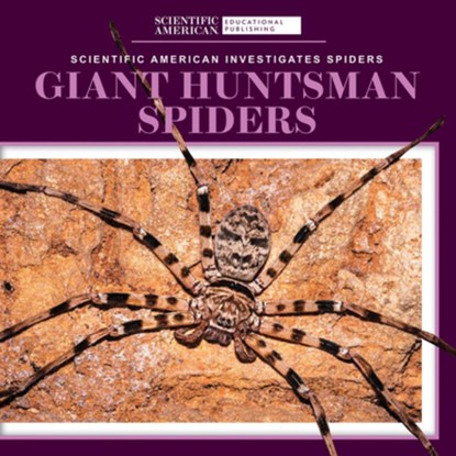Giant Huntsman Spiders, Roxanne Aldolpho - Paperback - 9781725351264