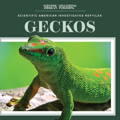 Geckos, Jagger Youssef - Gebonden - 9781725352865