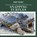 Snapping Turtles, Jagger Youssef - Paperback - 9781725352971