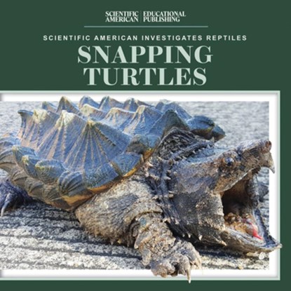 Snapping Turtles, Jagger Youssef - Paperback - 9781725352971