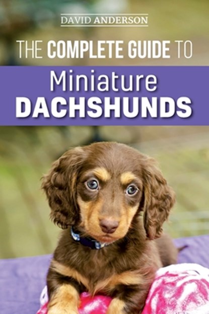 The Complete Guide to Miniature Dachshunds, David Anderson - Paperback - 9781727339321