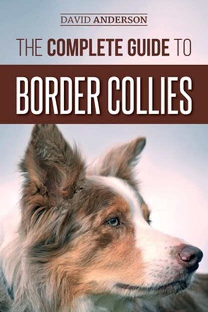 The Complete Guide to Border Collies, David Anderson - Paperback - 9781727341584