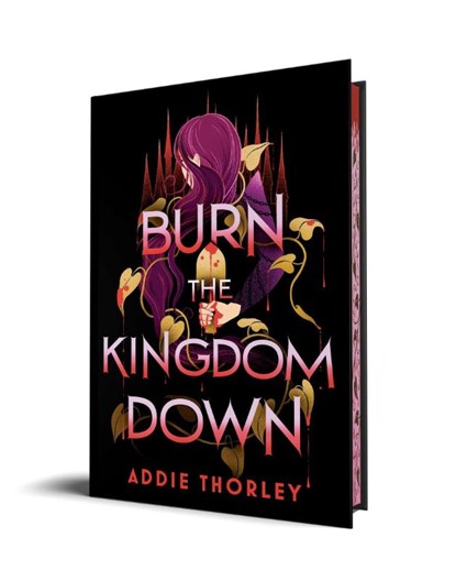 Burn the Kingdom Down, Addie Thorley - Gebonden - 9781728283036