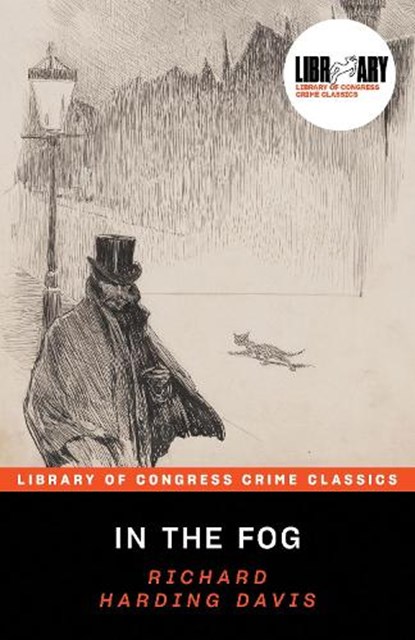 In the Fog, Richard Davis - Paperback - 9781728296234