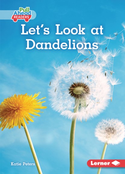 Let's Look at Dandelions, Katie Peters - Paperback - 9781728403137
