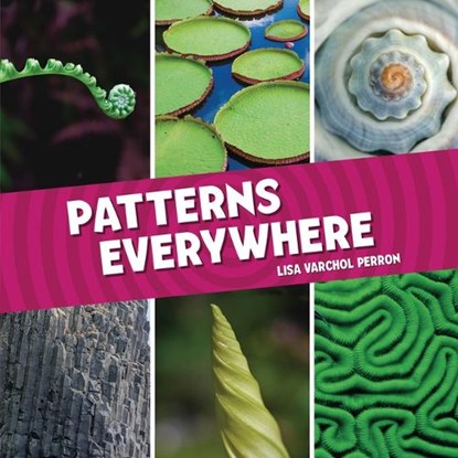 Patterns Everywhere, Lisa Varchol Perron - Gebonden - 9781728460420
