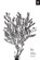 An Elegant Puzzle, Will Larson - Gebonden - 9781732265189