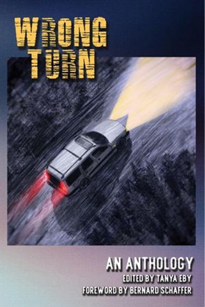 Wrong Turn, Sharon Hart Addy ; Sharon L. Cook ; Kelley Ernst ; Rosemary Hayes ; J.R. Hayslett ; Johnny Heller ; Heidi Hunter ; Laura Jennings ; Laird Long ; Chris Martin ; Tom Mead ; Lawrence Allan Pontius ; Michele Reed ; M. Regan ; Chris Rodriguez ; Jacqueline Seew - Ebook - 9781732733732