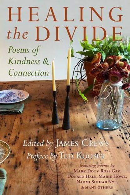 Healing the Divide, James Crews - Paperback - 9781732743458