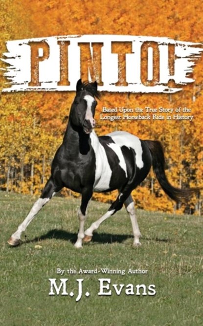 Pinto!, M J Evans - Paperback - 9781733020411