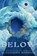 Below, Alexandria Warwick - Paperback - 9781733033404