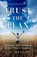 Trust the Plan, HINSON,  J D - Paperback - 9781733134903