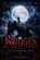 Bridges: The Lightbearers Series, LOWRY,  Jen - Paperback - 9781733138116