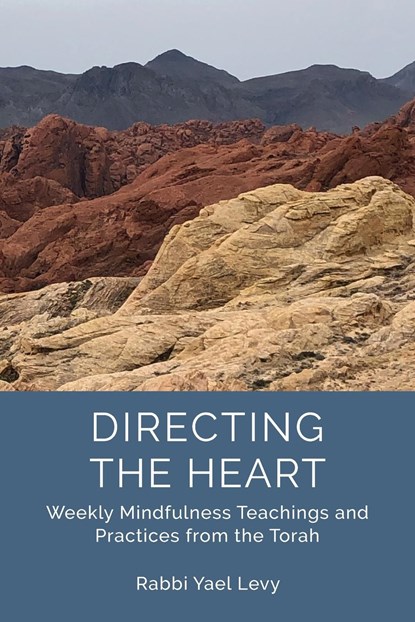 Directing the Heart, Rabbi Yael Levy - Paperback - 9781733238403
