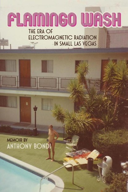 Flamingo Wash, Anthony Bondi - Paperback - 9781733422796