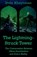 The Lightning-Struck Tower, Irvin Khaytman - Paperback - 9781733514149
