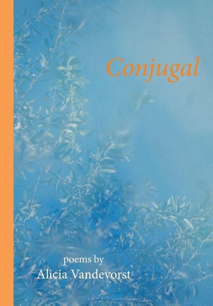 Conjugal, Alicia Vandevorst - Paperback - 9781733702522