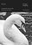 Poetries, Georges Schehade - Paperback - 9781734035193