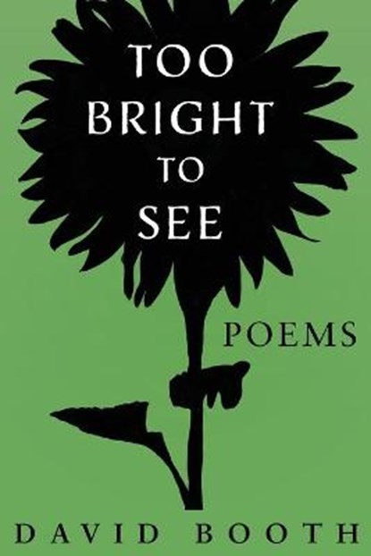 Too Bright to See, BOOTH,  David - Paperback - 9781734114263