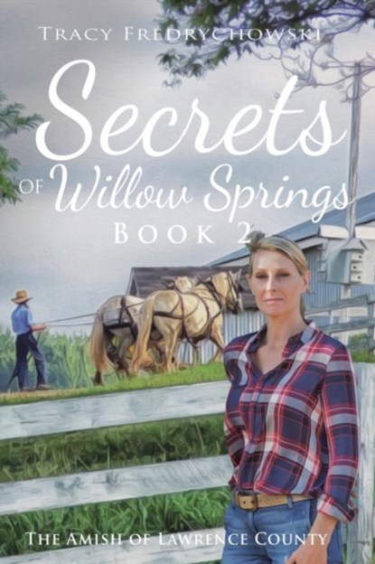 Secrets of Willow Springs - Book 2, Tracy Fredrychowski - Paperback - 9781734241105