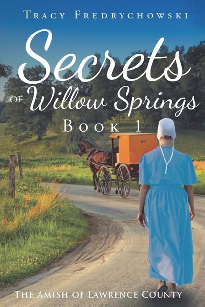 Secrets of Willow Springs - Book 1, Tracy Fredrychowski - Paperback - 9781734241129