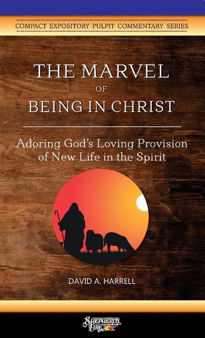 The Marvel of Being in Christ, David a Harrell - Paperback - 9781734345230