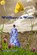 Wildflowers in Winter, WARK,  Naomi - Paperback - 9781734432916