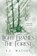 Light Frames the Forest: Prayer and Poetry, S. C. Watson - Gebonden - 9781734637663