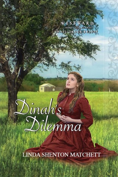 Dinah's Dilemma, Linda Shenton Matchett - Paperback - 9781734708554