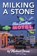 Milking A Stone, Michael Owens - Paperback - 9781735252544