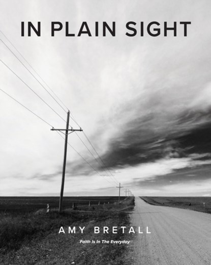 In Plain Sight, Amy Bretall - Paperback - 9781735822600