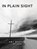 In Plain Sight, Amy Bretall - Gebonden - 9781735822617