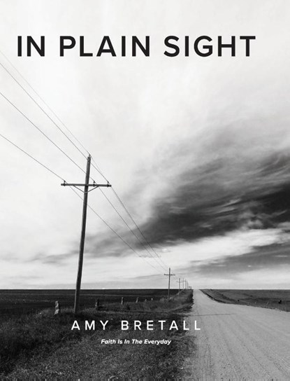 In Plain Sight, Amy Bretall - Gebonden - 9781735822617