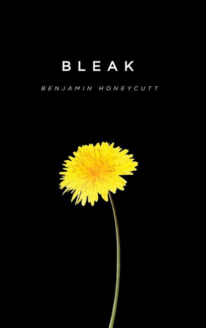 Bleak, Benjamin Honeycutt - Gebonden - 9781735865379
