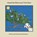 Amad the Moroccan Tree Goat, Barbara Johnson - Paperback - 9781735877051