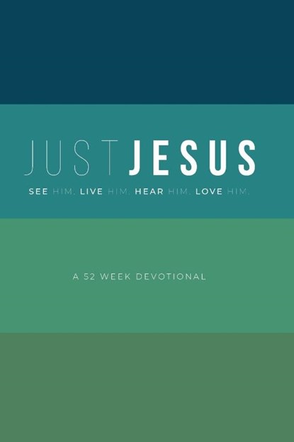 Just Jesus, Mike Lyle ; Stephen Willis - Paperback - 9781735914329