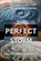 The Perfect Storm, Allen Paul Weaver - Paperback - 9781736097274