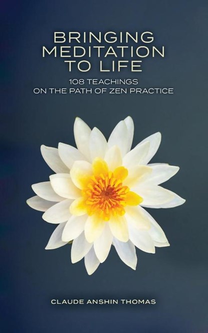 Bringing Meditation to Life, Claude Anshin Thomas - Paperback - 9781736293409