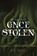 Once Stolen, D N Bryn - Paperback - 9781736296608