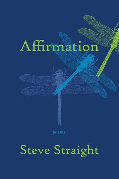 Affirmation, Steve Straight - Paperback - 9781736416860