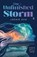 The Unfinished Storm, Jackie Ahn - Paperback - 9781736430316