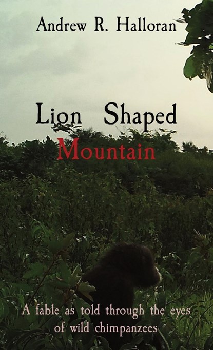 Lion Shaped Mountain, Andrew R Halloran - Paperback - 9781736649855