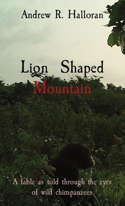 Lion Shaped Mountain, Andrew R Halloran - Paperback - 9781736649855