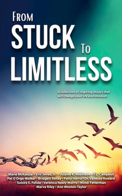 From Stuck to Limitless, Marie McKenzie ; J.L. Campbell ; Dr. Vanessa Howard ; Pat G'Orge-Walker ; Julaine K. Robinson ; Bridgett Renay ; Solsire E. Felida ; Patty Harris ; Marva Riley ; Eric Jones, Jr. ; Mindi Fetterman ; Veronica Nealy-Morris ; Ann Wooten-Taylor - Ebook - 9781737102380