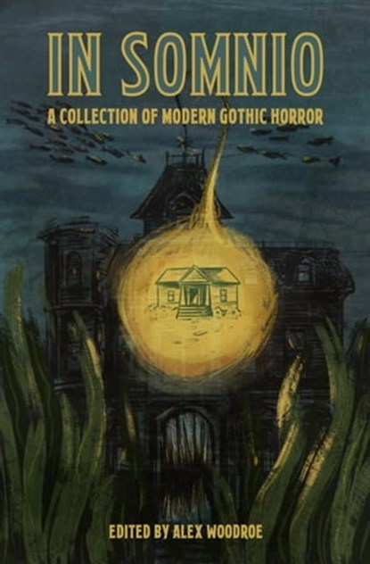 In Somnio, Alex Woodroe - Ebook - 9781737982388